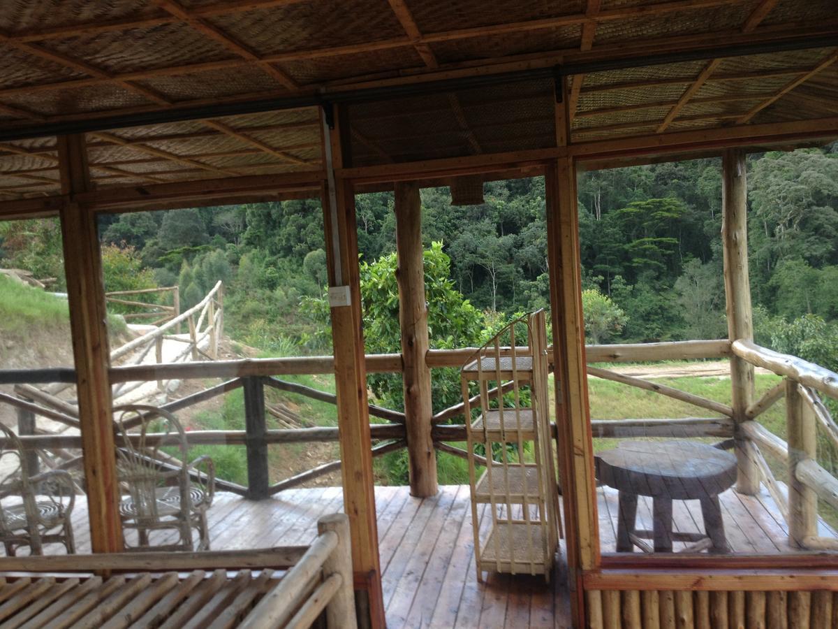 Rushaga Gorilla Lodge Bugambira Rum bild